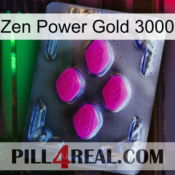 Zen Power Gold 3000 02.jpg